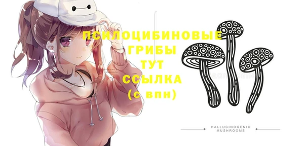 ALPHA PVP Арсеньев
