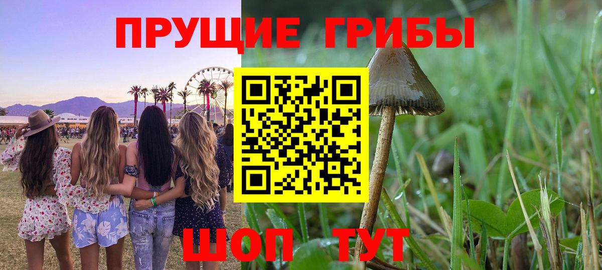 Галлюциногенные грибы GOLDEN TEACHER  Вход с VPN  Усть-Джегута 