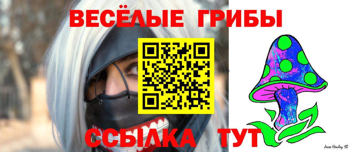 Псилоцибиновые грибы Psilocybe Усть-Джегута